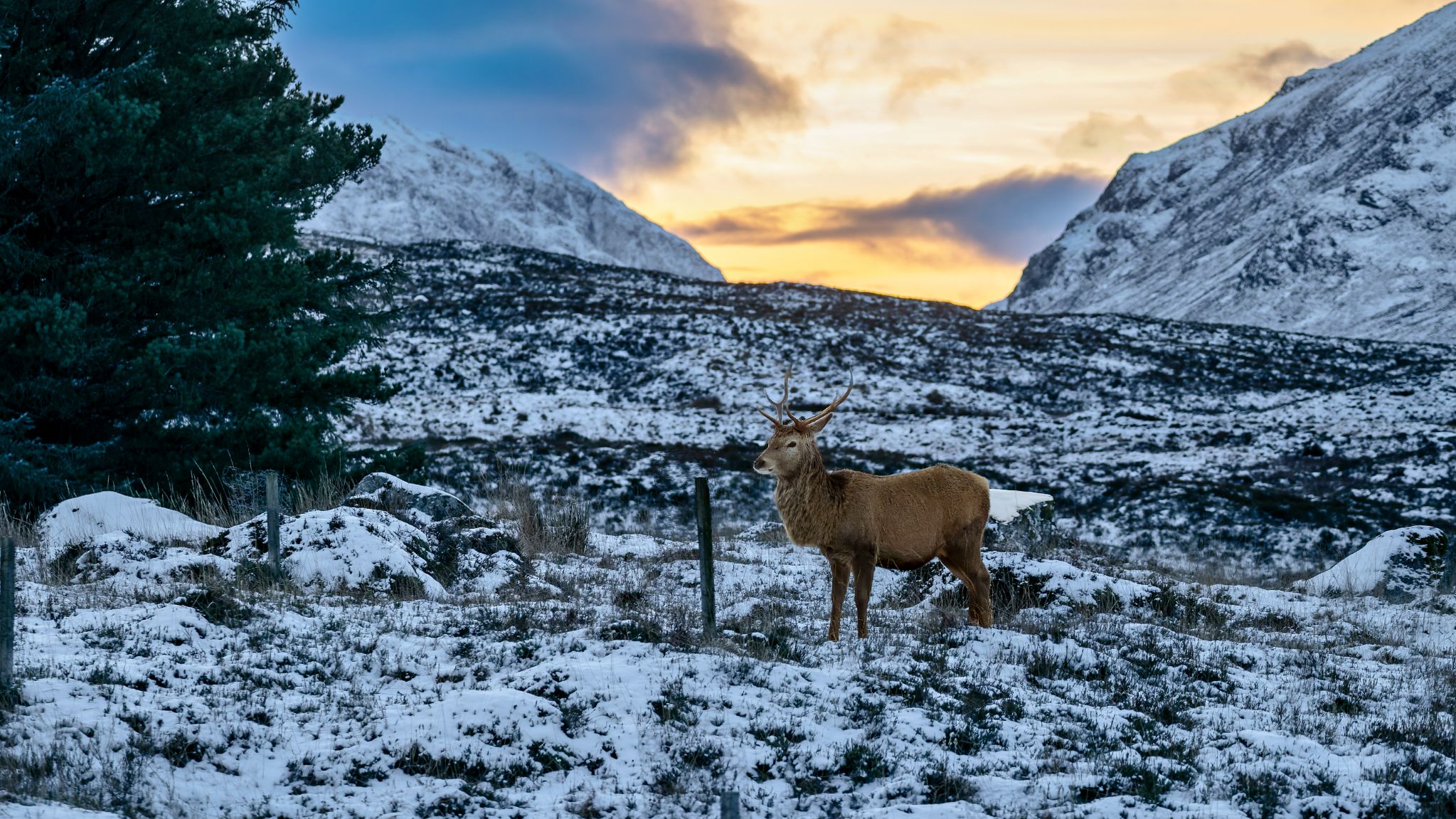 Glencoe aufgenommen von Kingshouse Hotel